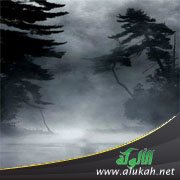 حالة ضياع