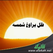 ظل يراوغ شمسه (قصيدة)