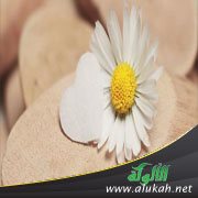 التآلف والتراحم وإصلاح ذات البين (خطبة)