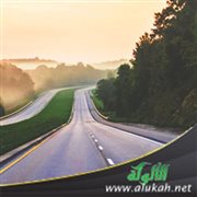 رحلة الثبات