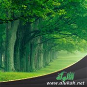 اصدق الله يصدقك
