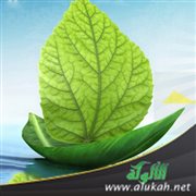 من خاف أدلج (خطبة)