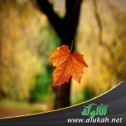 الحيرة في أمر الزواج