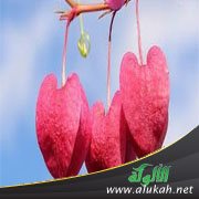 علاقة زوجي أرهقتني (1)
