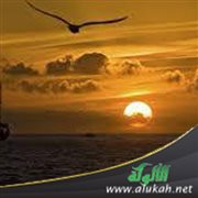 الحياة الدنيا متاع الغرور