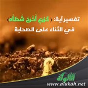 تفسير آية: ﴿ كزرع أخرج شطأه ﴾ في الثناء على الصحابة