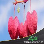 علاقة زوجي أرهقتني (2)