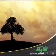 التفكر عبادة لطالما بعدنا عنها