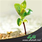 المدعو إليه (من أركان الدعوة)