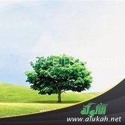 خطبة في الحث على التقوى وبيان حدها وفوائدها