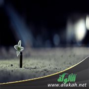 سبل النجاة من فتن الدماء (3) الاستعاذة بالله تعالى منها