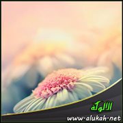 جمال الظاهر وجمال الباطن