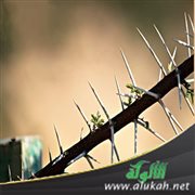 أريد أن أتخلص من الحقد وإساءة الظن