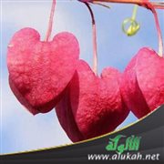 غيث القلوب