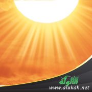 وقفات مع فصل الصيف