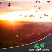 من مشكلات التدليل الزائد
