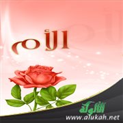 بر الأم في زمن العقوق