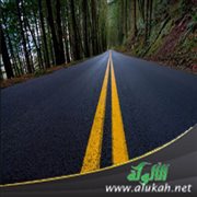 الاستقامة والثبات