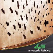 الرهاب والقلق الاجتماعي