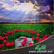 تحريم تغيير خلق الله