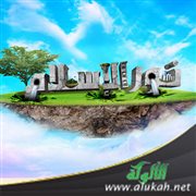 نور الإسلام