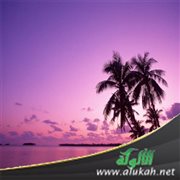 بين عطاء الله ومنعه: سليمان وأيوب عليهما السلام