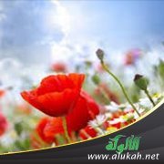 الرفق بالخدم وحسن صحبتهم