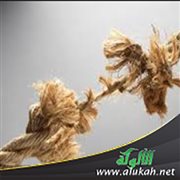 قطيعة الرحم