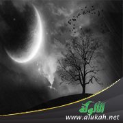 أشعر بالخوف من كل شيء حولي