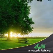{ربنا الذي أعطى كل شيء خلقه ثم هدى} (البحر..)