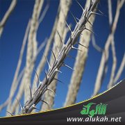 التخلص من صديق السوء