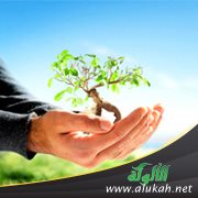 تحقيق الأهداف