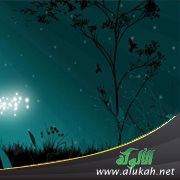 تائهة بين أحلامي وواقعي