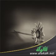 تقدم لي مطلق ولديه ابنة فهل أرفضه؟