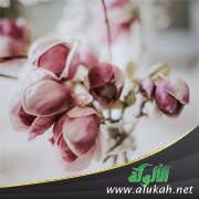 لا أشعر بالأمان والاستقرار