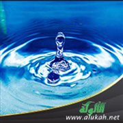 Water from an economic perspective