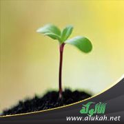 إنما الأعمال بالنيات (خطبة)