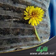 إنزال الحوائج (خطبة)
