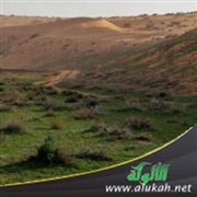 آداب الخلاء في الإسلام