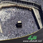 حديث: يلبي بالحج والعمرة جميعا