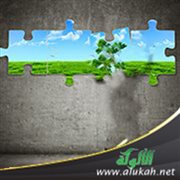 Sustainability from an economic perspective