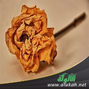 زوجي لا ينجب فهل أطلب الطلاق؟