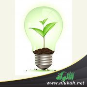 صناعة الموهبة فن أم وظيفة؟