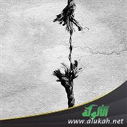 لا تيئس