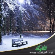 الشتاء والبرد (خطبة)