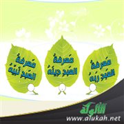 معرفة العبد ربه ودينه ونبيه