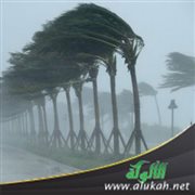 كيف تصمد؟