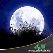 تقويم الأعمال والنظر في العواقب