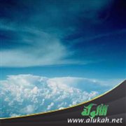 وإذا رأوك إن يتخذونك إلا هزوا