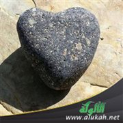 موعظة القلوب الغافلة (خطبة)